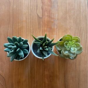 Set of 3 mini artificial succulents in white pots